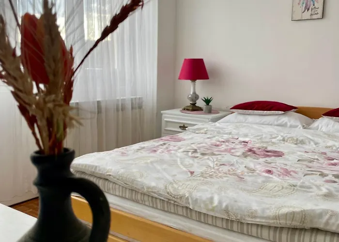 Maja דירה באניה לוקה